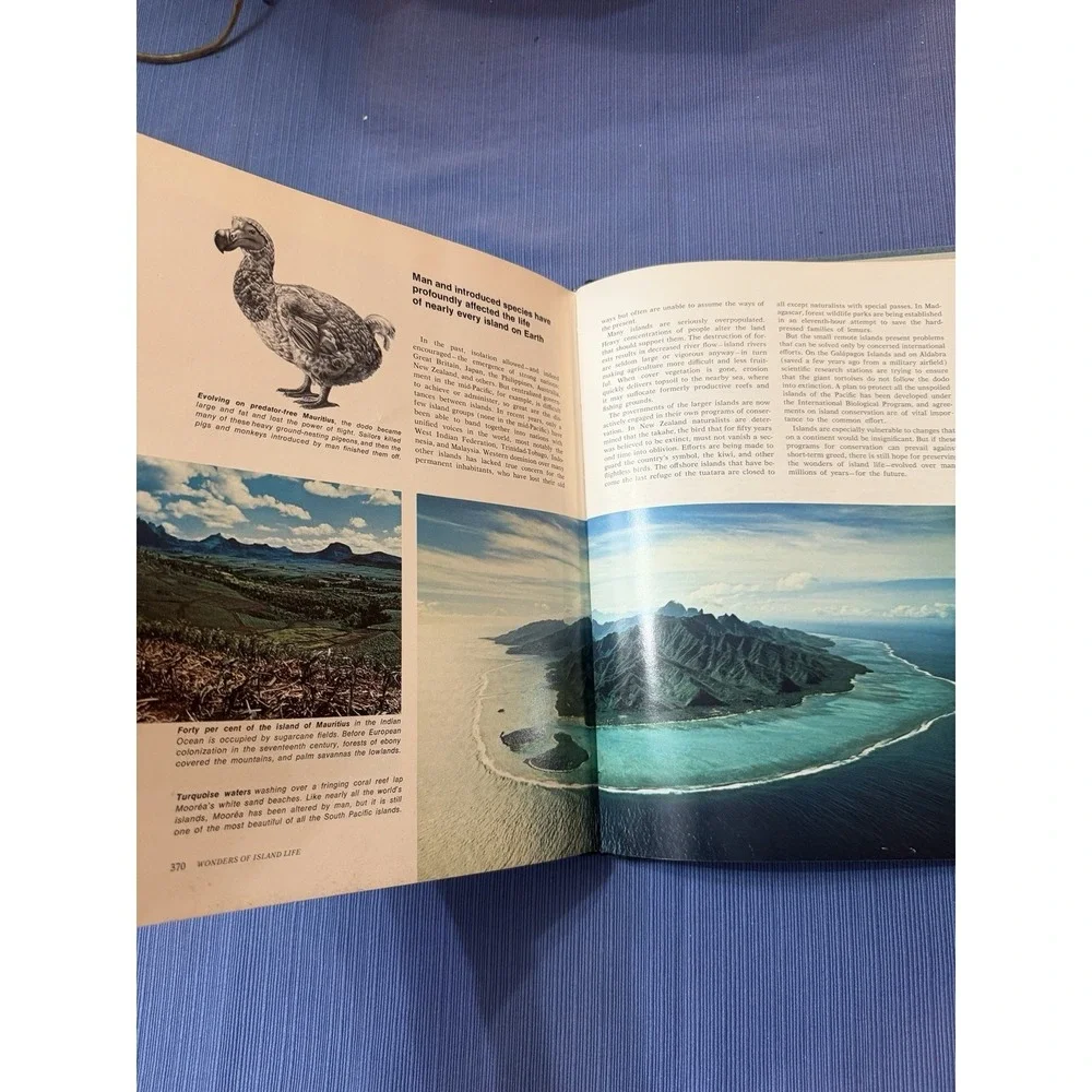 Secrets of the Seas Hardcover Nature Nonfiction Ocean Life Amos Cromie